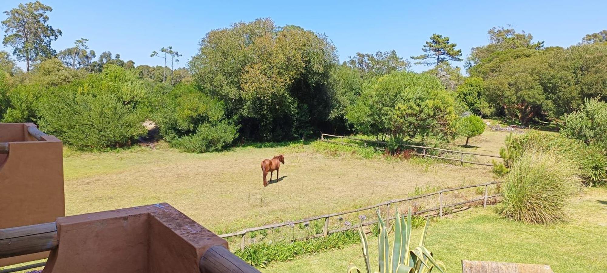 Villa Casas Da Barra Praia de Mira Exterior foto